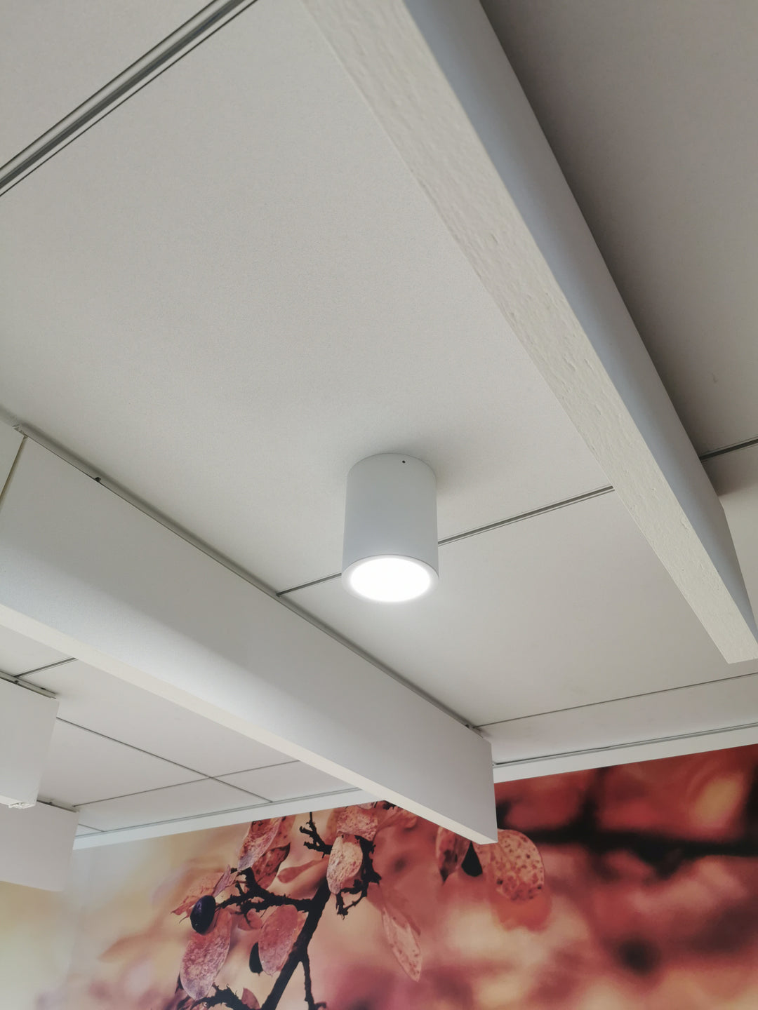 Plafonnier LITED Downlight LED - Backacia
