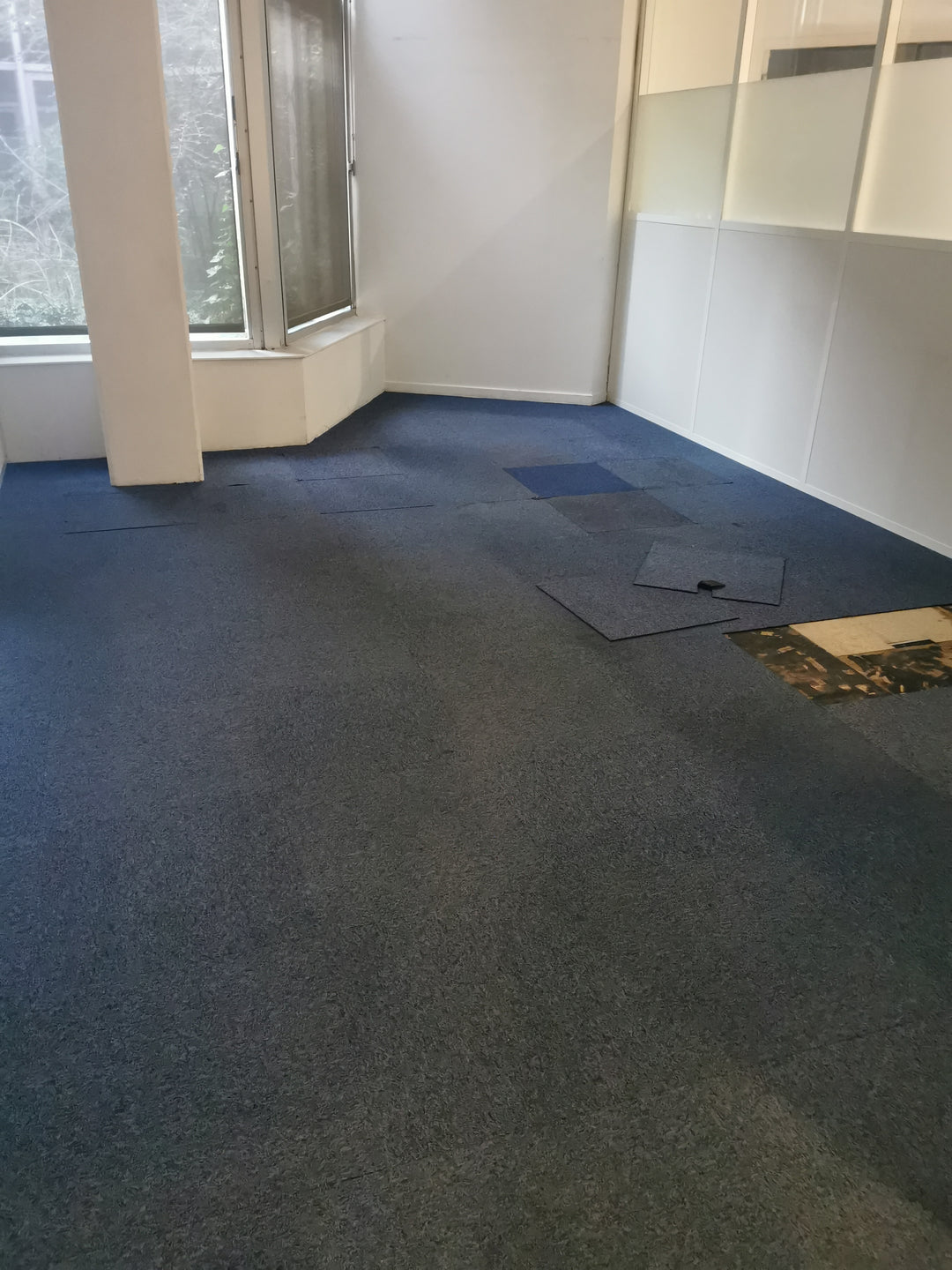 Dalles de moquette bleue - Backacia